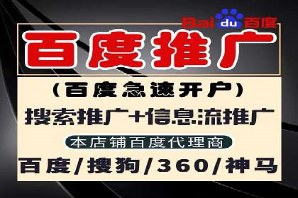 探索SEM竞价代运营公司的服务模式与市场趋势